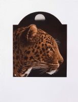 £25 - Asian Leopard.